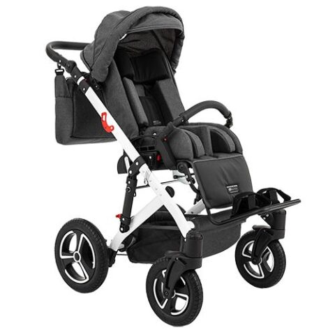 Special Needs Strollers